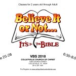 VBS 2018 Flyer